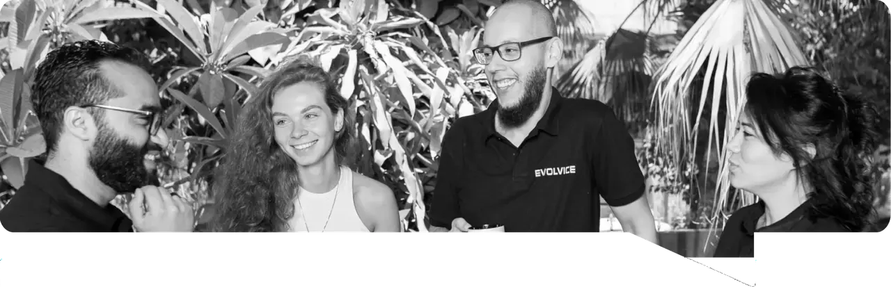 Evolvice team